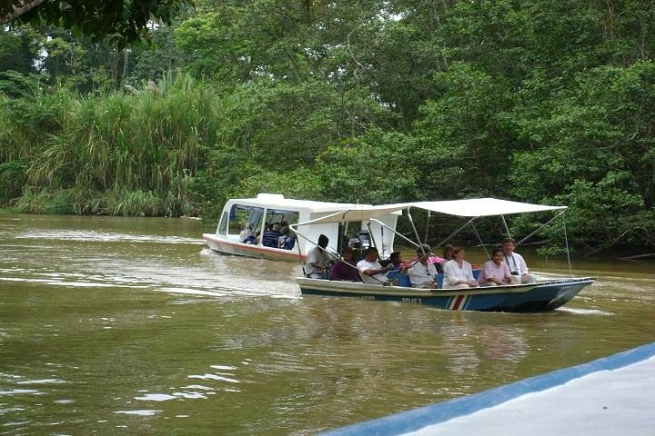 Tortuguero Canal Tour